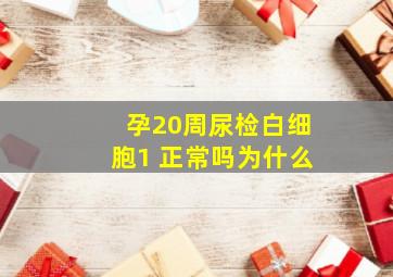 孕20周尿检白细胞1 正常吗为什么